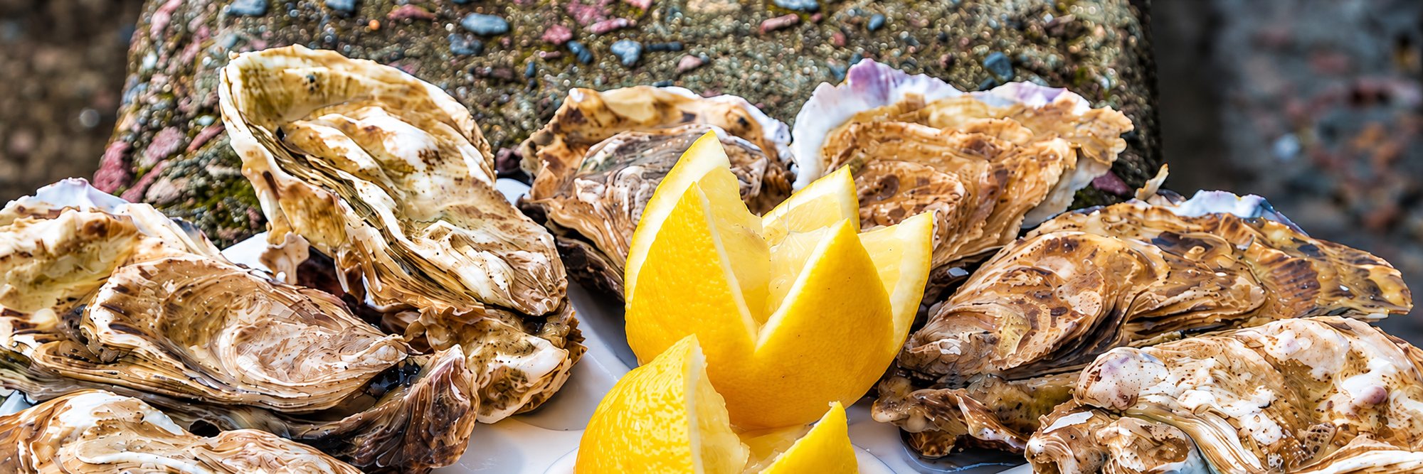 Un plateau d’huîtres entrouvertes autour de deux citrons coupés, posé sur des rochers au bord de l’eau.