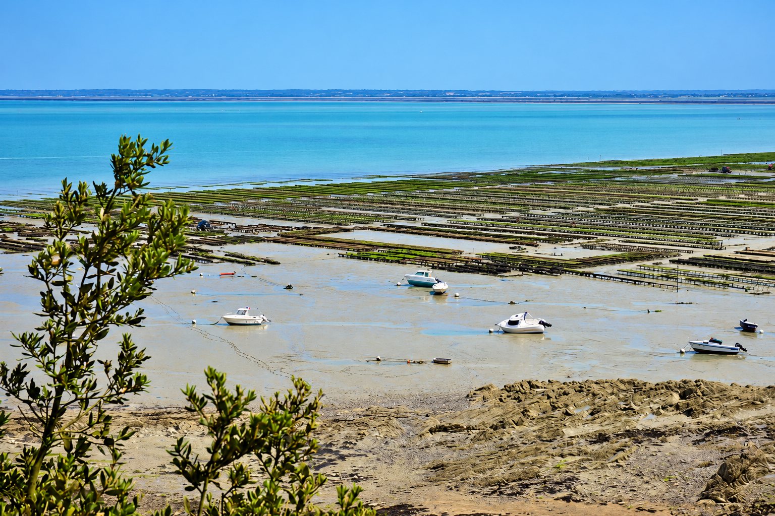 Parcs à huîtres et bateaux posés sur le sable à marée basse.